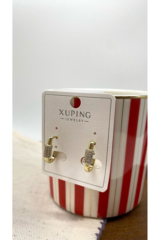 Xuping Çelik Küpe - 1