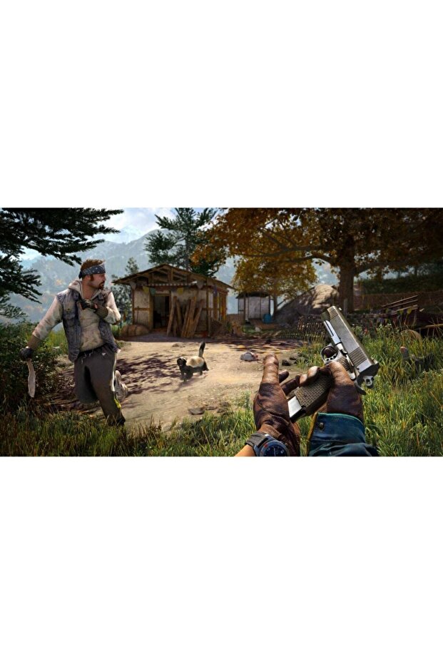 Ps4 Farcry 4 - 2
