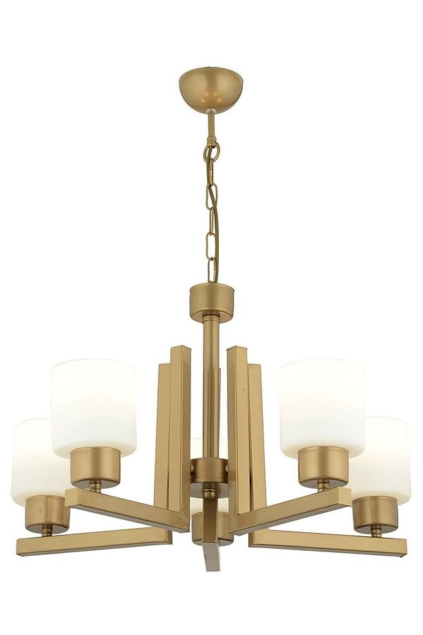 Torqu 5 Li Eskitme Boyalı Modern Genç Odası Yatak Odası Salon Avize - 2
