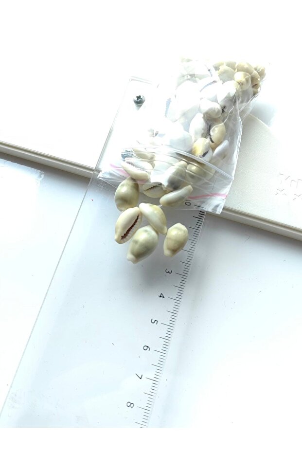 Tiny Seashells: Monetta / 50 Pieces / 1-2cm / Without Holes - 2