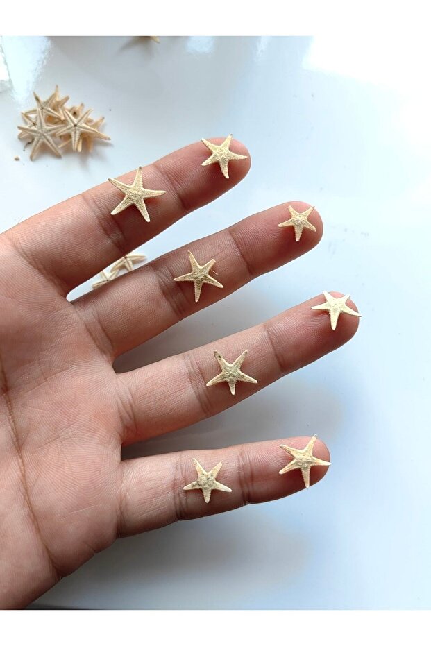 Tiny Sea Stars : 0.5 - 1.5 cm / 10 Pcs