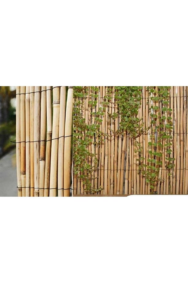 Bitki ve Fidan Destek Çubuğu Kargı Kamış 200-220 cm 10 Adet - 5