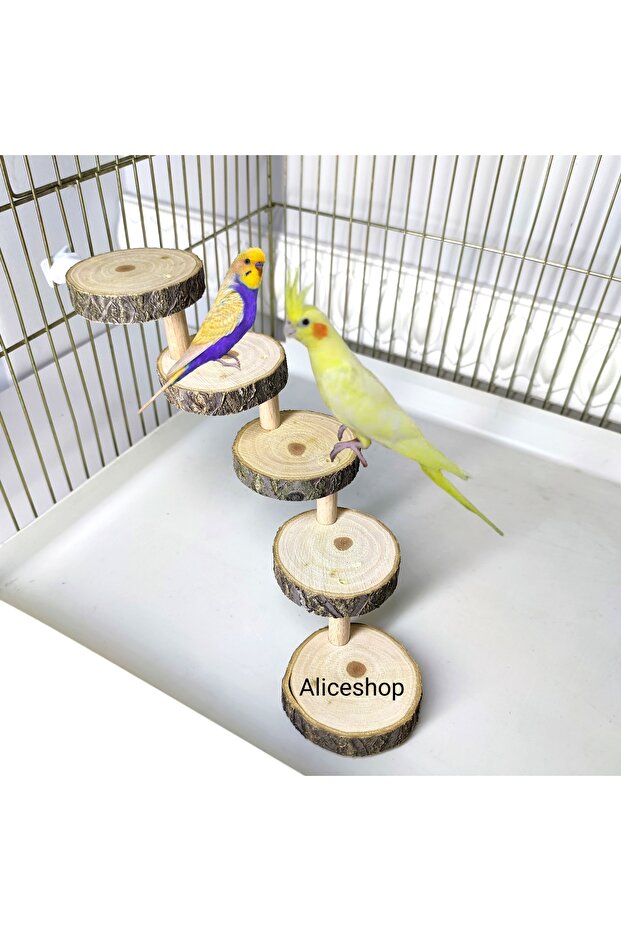 5 Step Natural Wood Perch - Bird Ladder