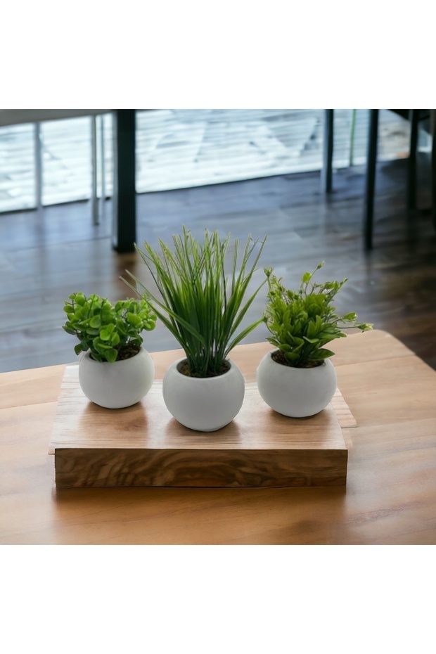 Mini Concrete Flower Pot Set of 3 Artificial Flower Arrangement with Real Moss Gift Package Flower Pot