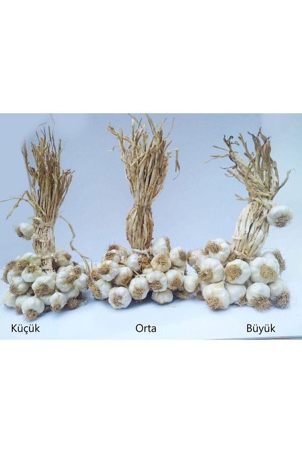 Kastamonu Taşköprü Sarımsağı 1 Kg Küçük Boy - 4