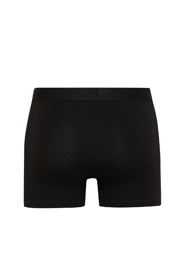 Regular Fit 3'lü Boxer E0119ax24au - 3
