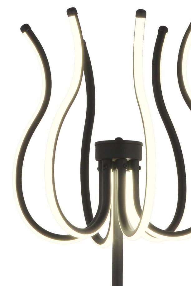 Lenora Siyah Modern Tasarım Salon Ledli Metal Lambader - 4