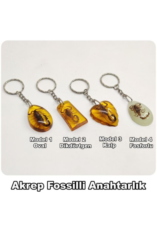 Akrep Fosilli - Toz Kehribar Anahtarlık - 4 Model - 2