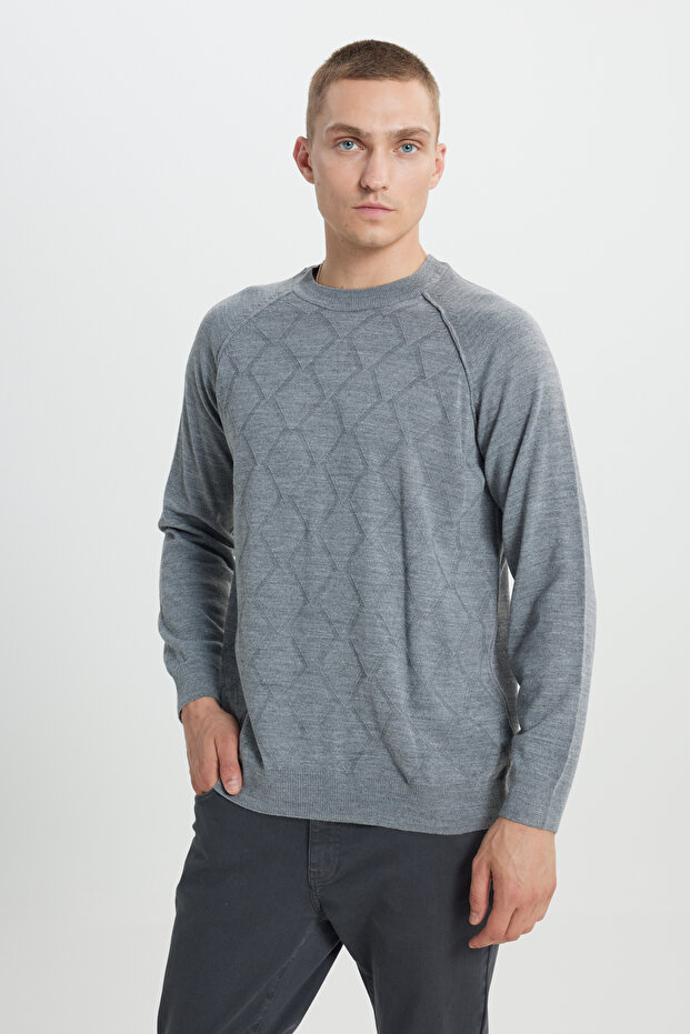 Men's Gray Standard Fit Normal Cut Crew Neck Jacquard Knitwear Sweater