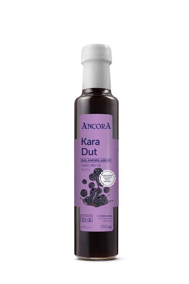 Sulandırılabilir Meyve Suyu Karadut 250 ml - 1