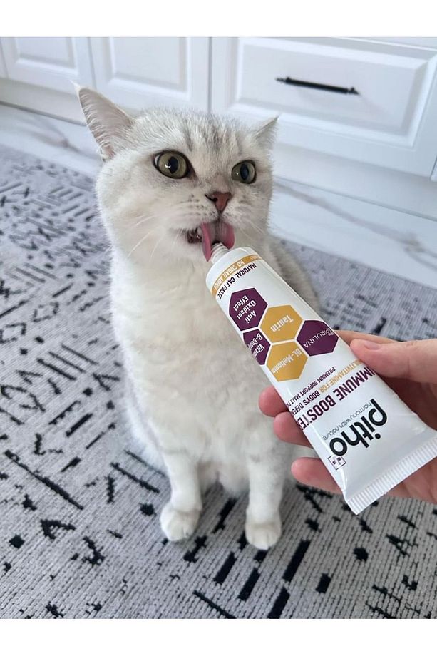 Immune B Plus | Kediler Için Doğal & Güçlü Malt 100 ml - 5