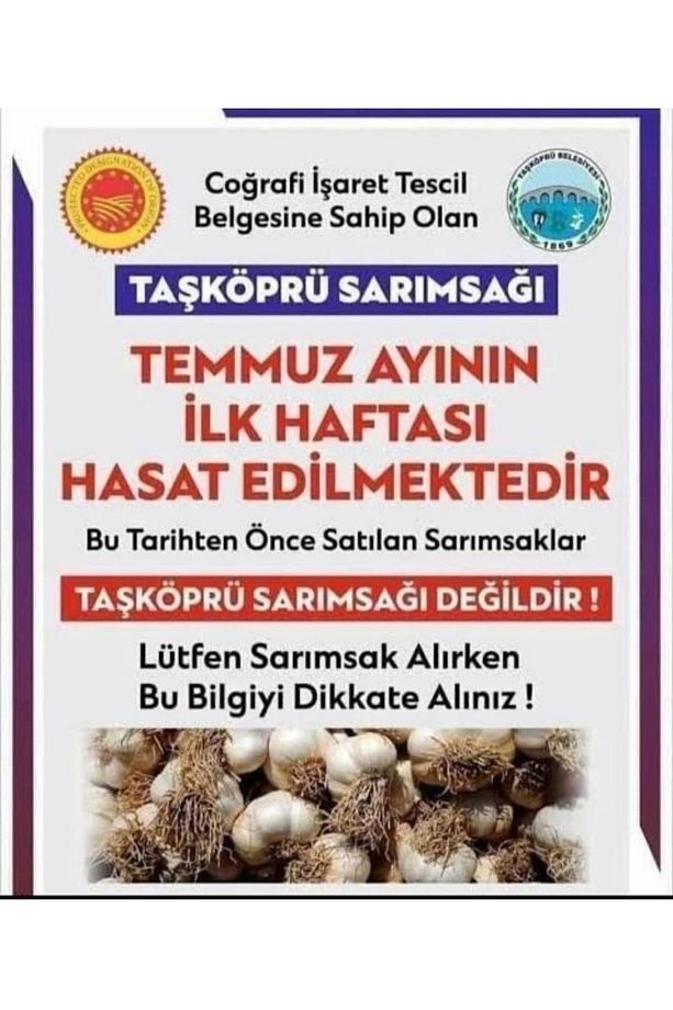 Taşköprü Sarımsak ( Orta Boy ) 1 Kilo - 6