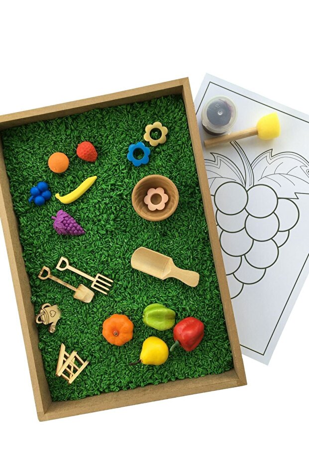 Wooden Activity Set - Montessori Toy