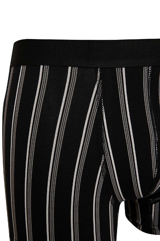 Regular Fit 3'lü Boxer E0119ax24au - 6