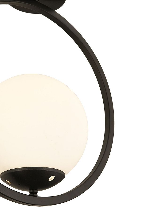 Lifos Tekli Siyah Plafonyer Modern Mutfak Retro Salon Avize - 4