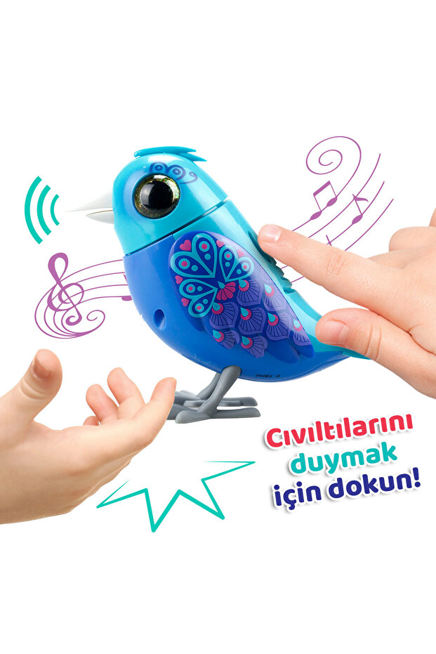 Digibirds Tekli Paket Seri 1 - Model 1 - 3