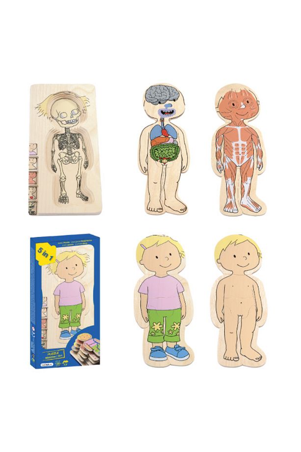 İnsan Anatomisi Puzzle - Kız - 3