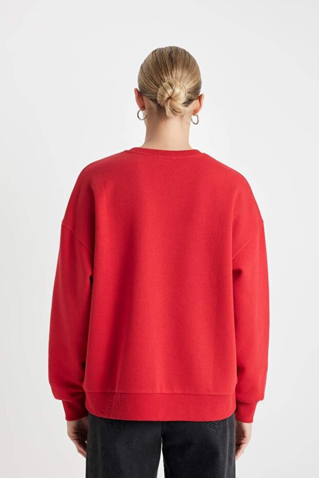 Суитшърт (24 WN) - 4