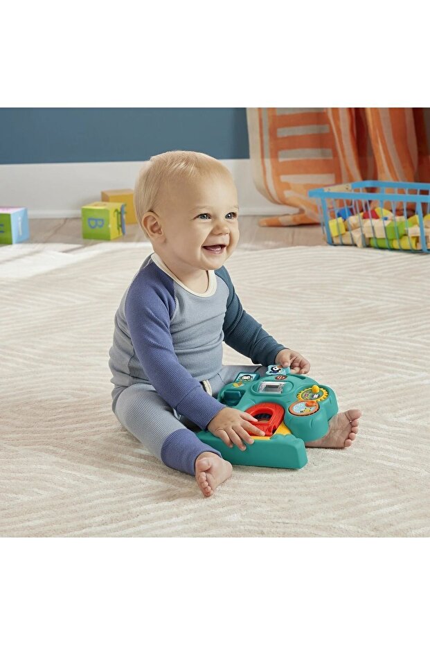 Sevimli Arkadaşlar Ve Ağaç Ev - 6