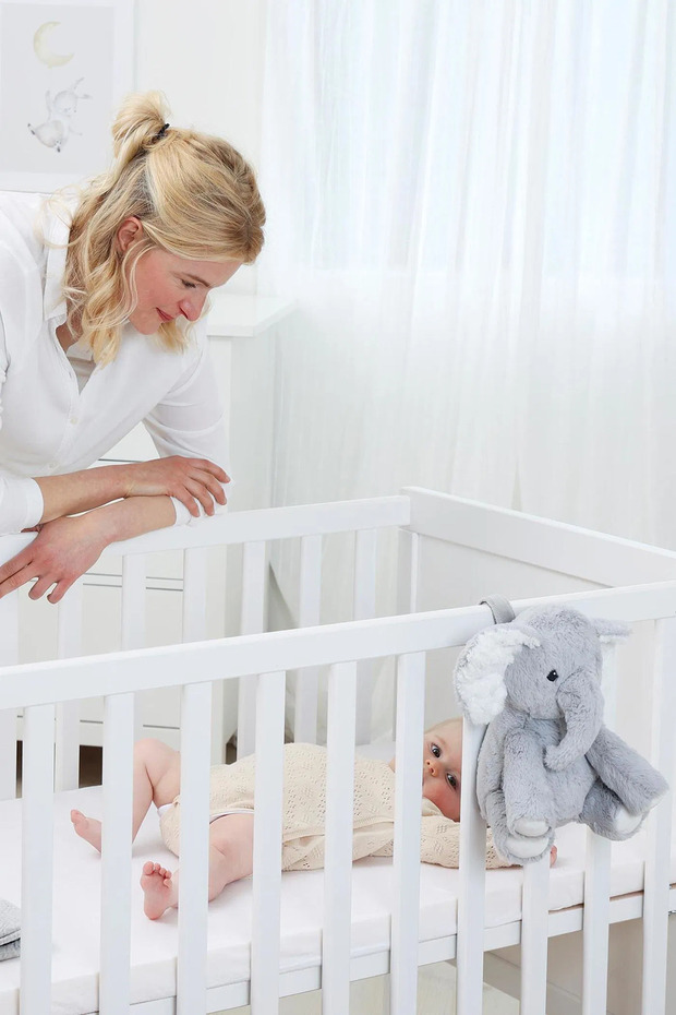 Elliot l'Eléphant - 2