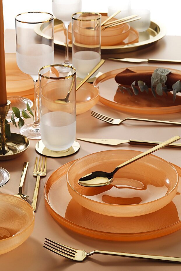 Circle Salmon 18 Piece Dinnerware Set - 1