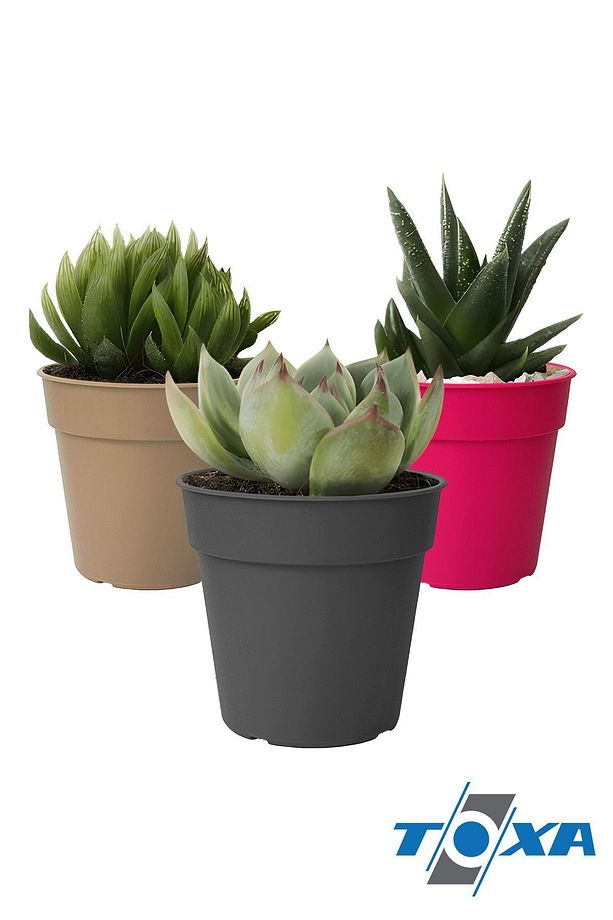 3 Adet 0.4 Litre Bej Terakota Saksı Tabaklı Izgarasız Mat Plastik Saksı - 4