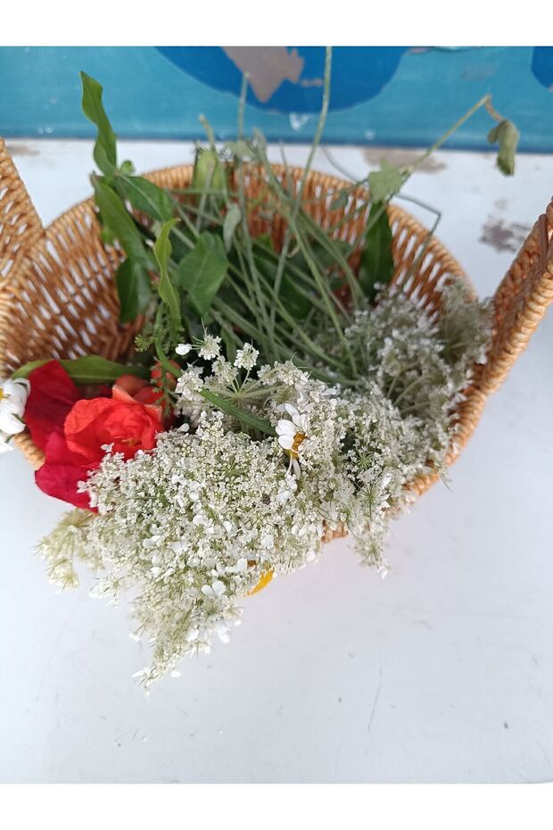 Nar ekşisi 1 litre - 6