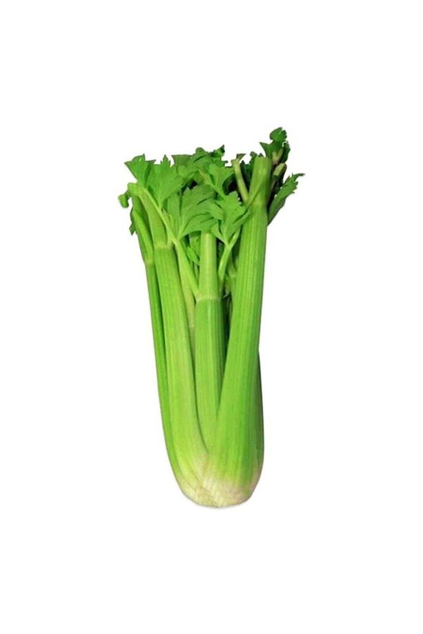 Kereviz Sapı 1 Adet - 1