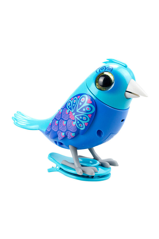 Digibirds Tekli Paket Seri 1 - Model 1 - 2