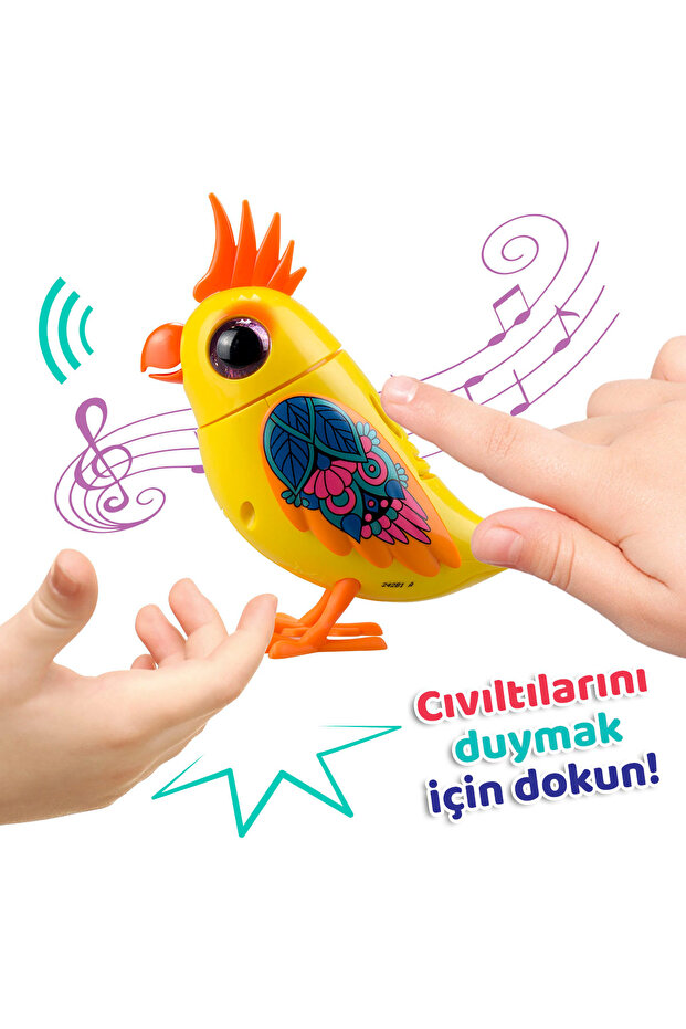 Digibirds Tekli Paket Seri 1 - Model 2 - 3