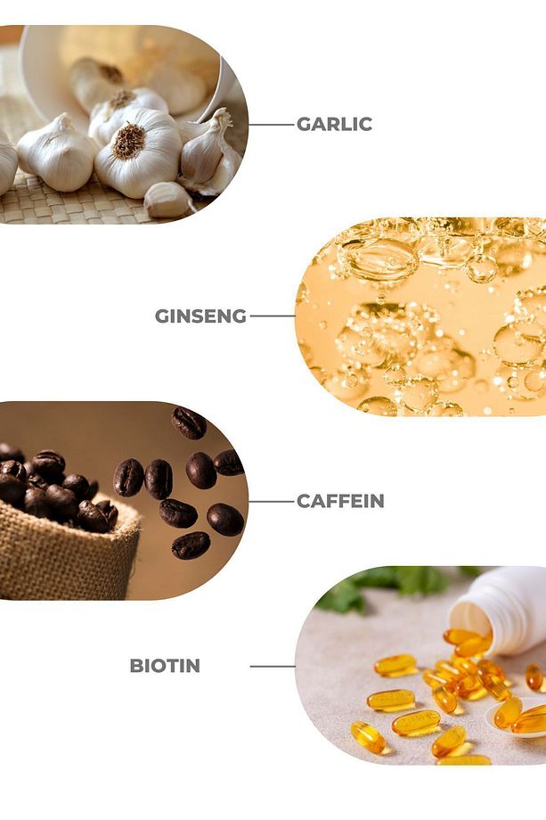 Pro Lab Şampuan 300 ml 3 Al 2 Öde - Sarımsak, Kafein, Biotin, Ginseng Özlü 8699349130770 - 4