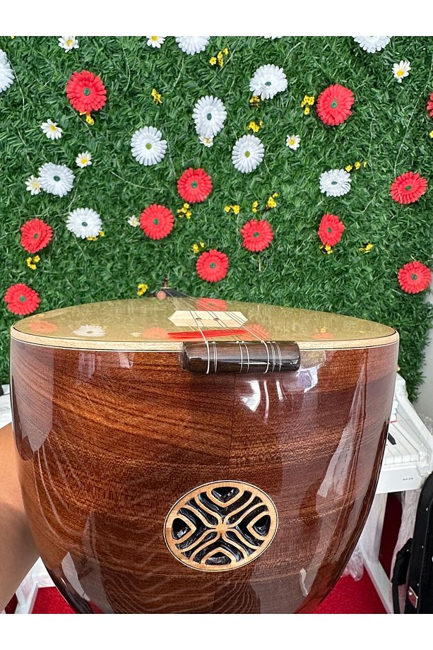 Uzun sap tam profesyonel ceviz bağlama +soft Case kılıf ve aksesuar tel takımı - 3