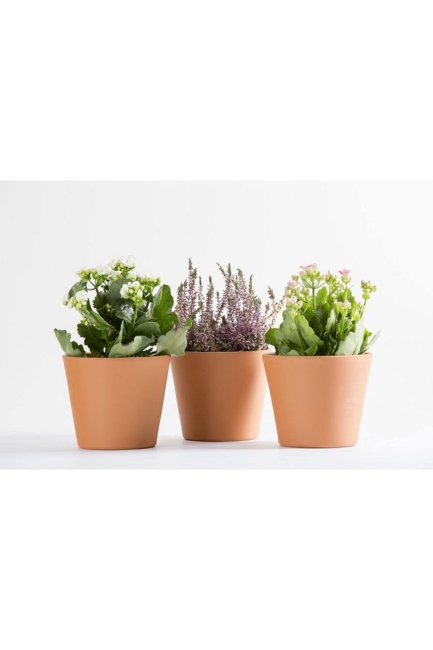 4 Adet Paris Toprak Saksı Küçük Tabaksız 13x12cm 870ml - 2