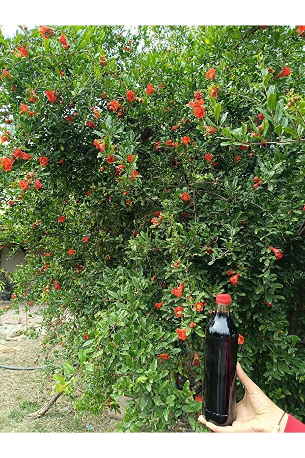 Nar ekşisi 1 litre - 2