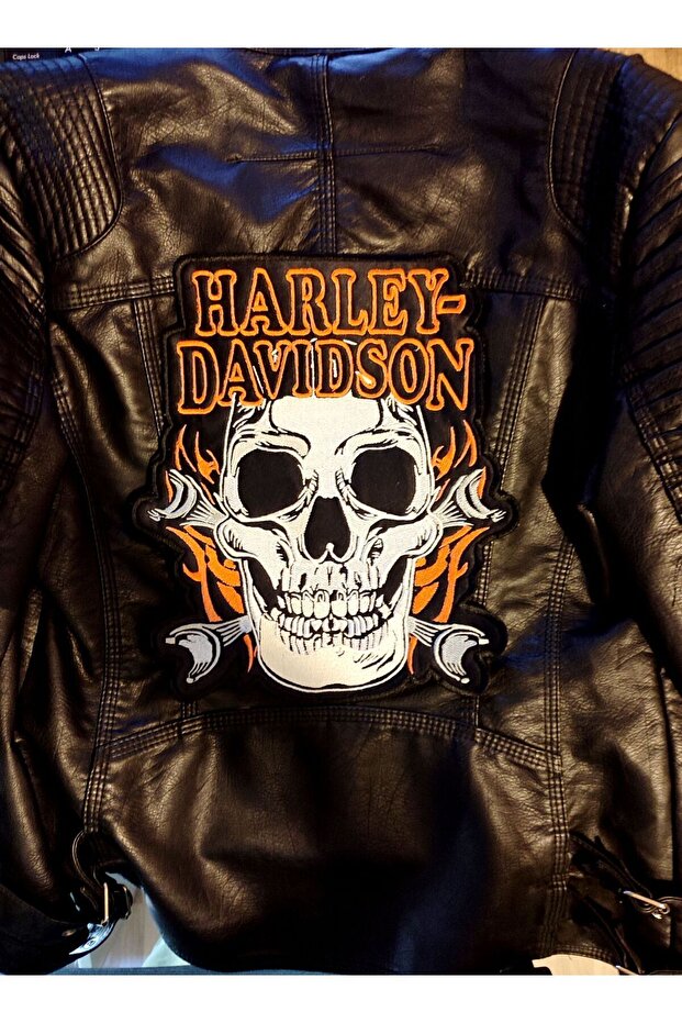 العلامات التجارية المخصصة لدراجة نارية هارلي - 2