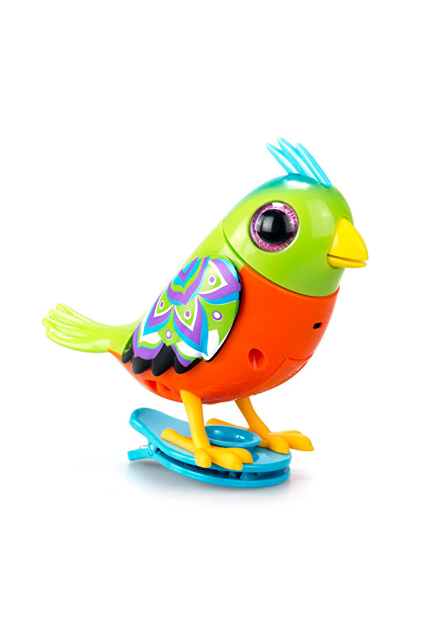 Digibirds Tekli Paket Seri 2 - Model 2 - 2