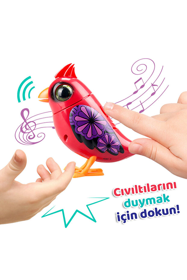 Digibirds Tekli Paket Seri 1 - Model 4 - 3