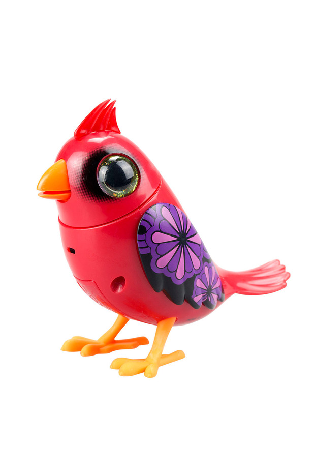 Digibirds Tekli Paket Seri 1 - Model 4 - 1