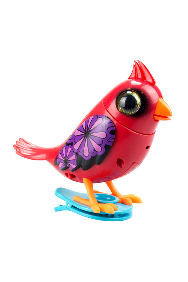 Digibirds Tekli Paket Seri 1 - Model 4 - 2