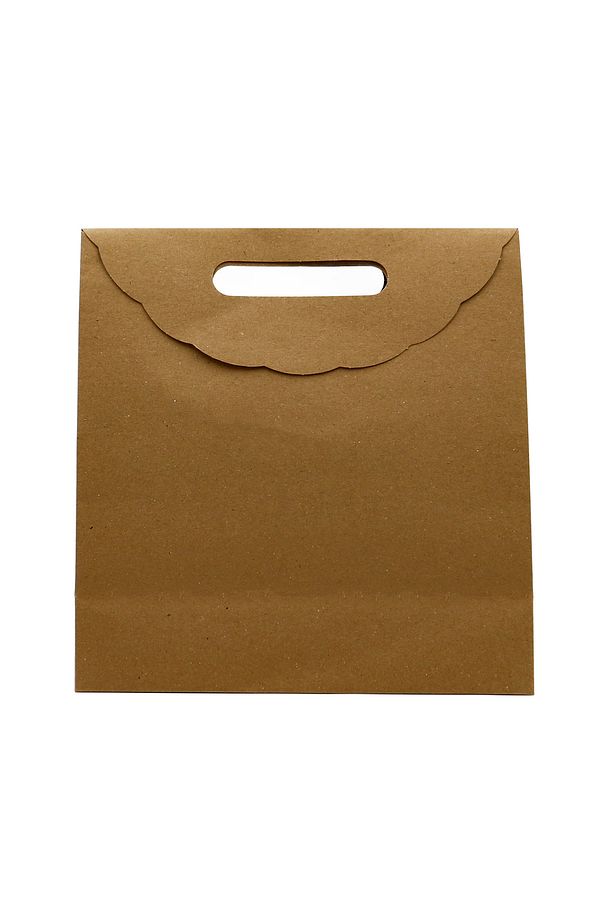 24 x 25 Zarf Model  Yapışkanlı Karton Çanta 1 Adet, Hediye Kutusu, Kitap Boy - 2