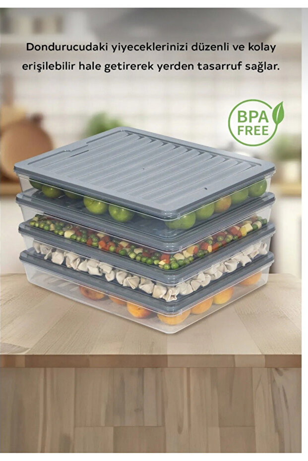 Freshbox 4-Piece Storage Set Suitable for Microwave and Diffuser - 2400 ml - 4