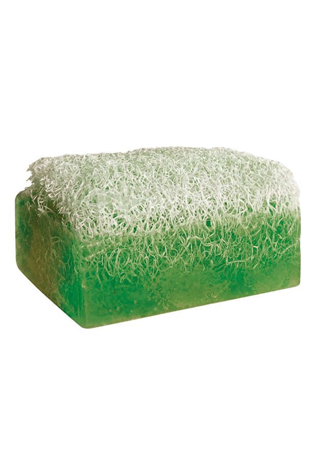 Aloe Vera Pumpkin Fiber Soap