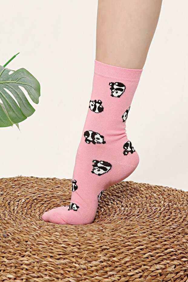 Panda Patterned Colorful Socks - 4