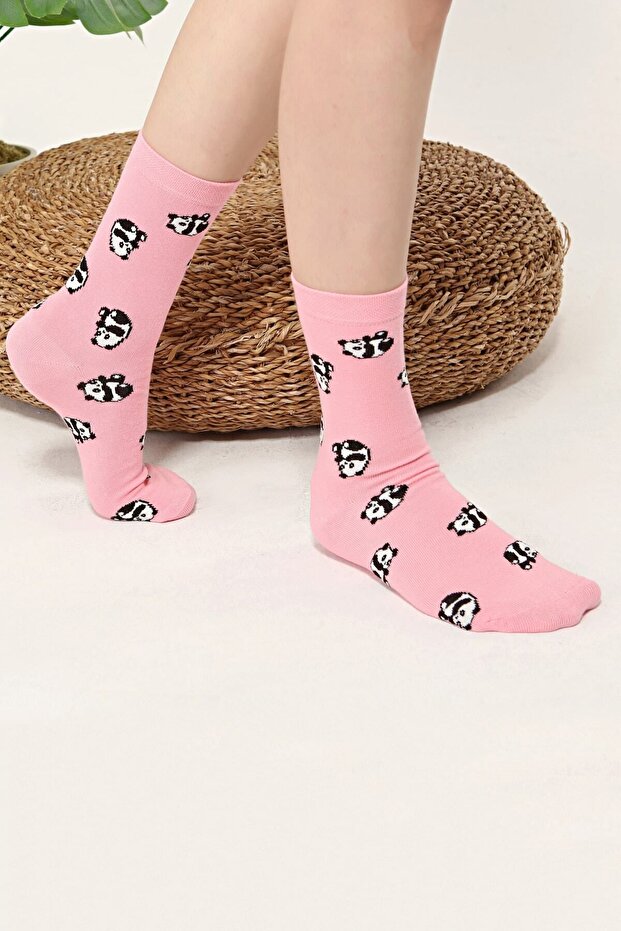Panda Patterned Colorful Socks - 3