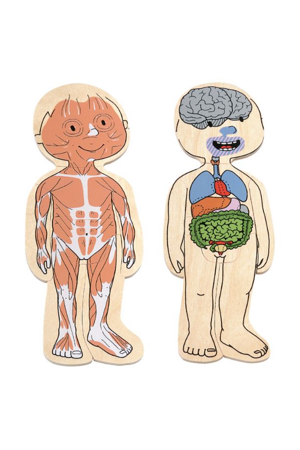 İnsan Anatomisi Puzzle - Kız - 2