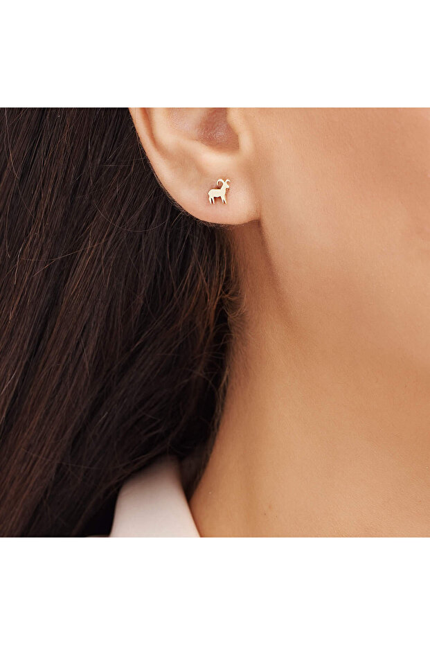 Burç Koç Küpe - 2