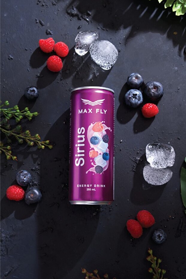 SİRİUS ENERJİ İÇECEĞİ 250 ML 24 ADET - 4
