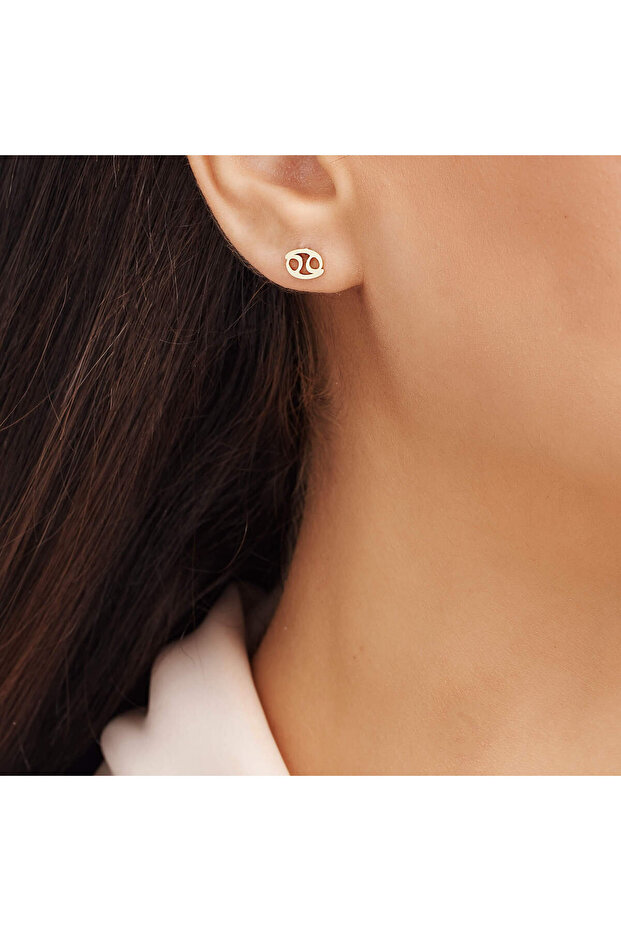 Burç Yengeç Küpe - 3