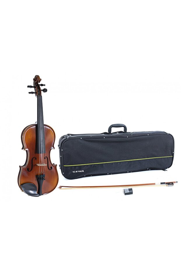Allegro VL1 4/4 Keman - 6