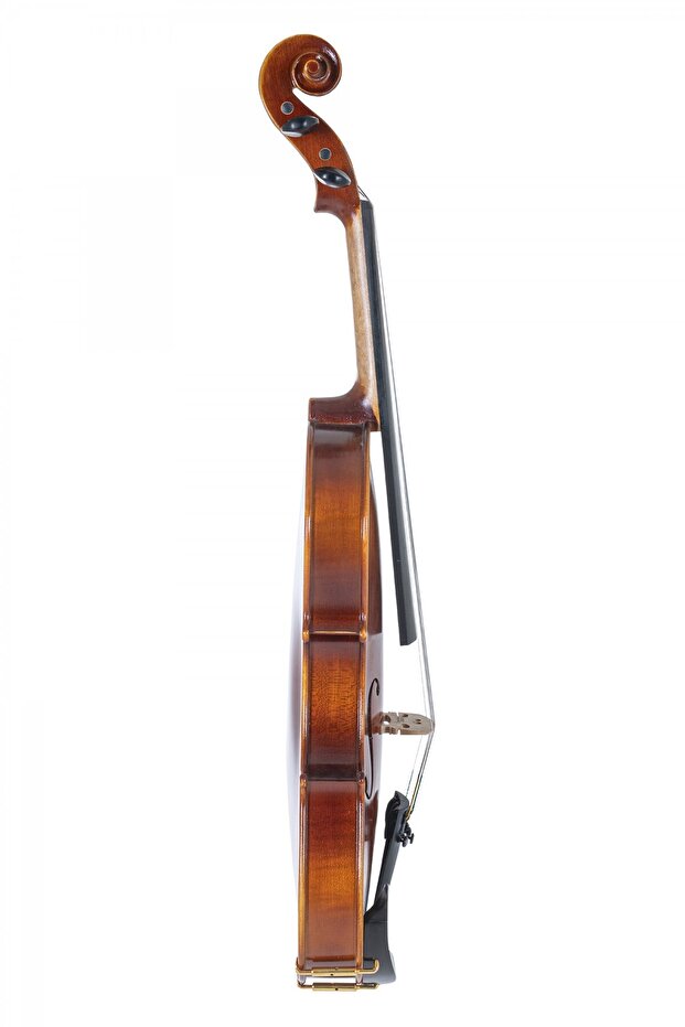 Allegro VL1 4/4 Keman - 3